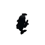 ⁦פאץ' דולפין מרעום דולפין⁩ – תמונה ⁦2⁩