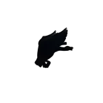 ⁦פאץ' אווז הבר מרעום דולפין⁩ – תמונה ⁦2⁩